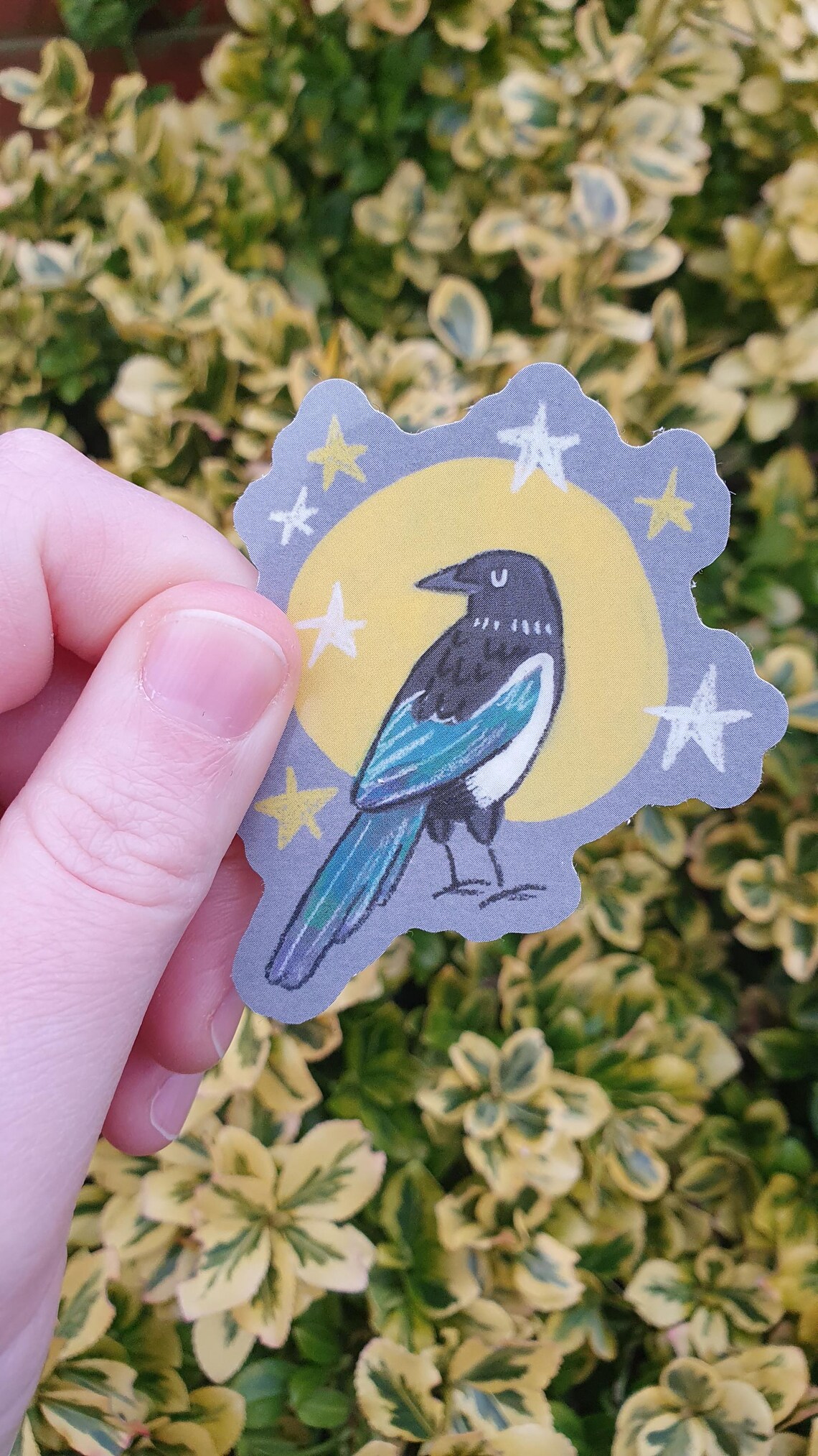 Magpie Sticker - Bird Art Vinyl Sticker in Yellow - Etsy