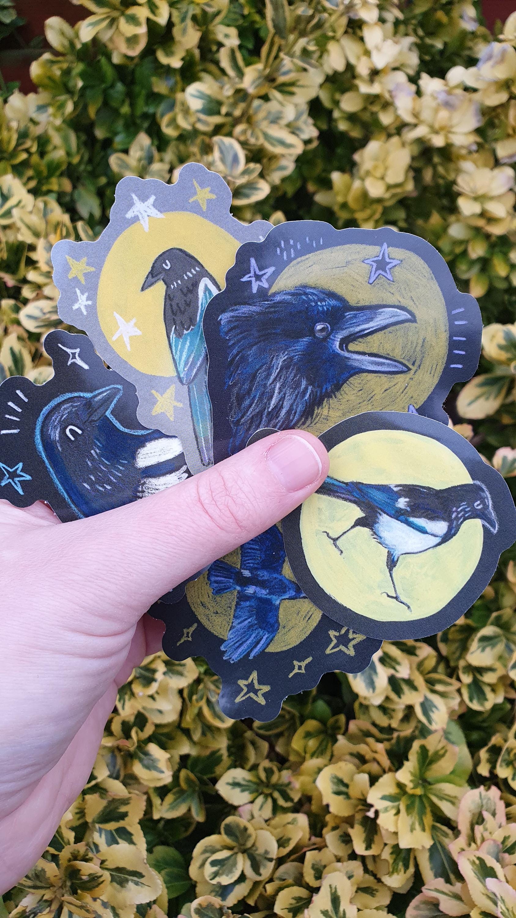 Magpie Sticker - Bird Art Vinyl Sticker in Yellow - Etsy