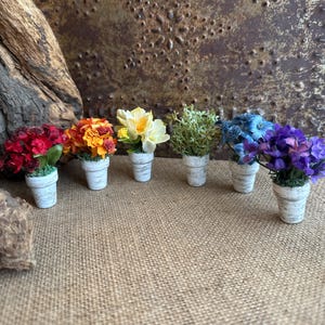 May include: Seven small white pots with different colored flowers. The flowers are red, orange, yellow, green, blue, purple, and white. The pots are all the same size and have a distressed white finish.