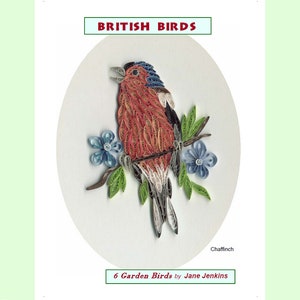 Jane Jenkins' Aprenda a Quill "BRITISH GARDEN BIRDS”