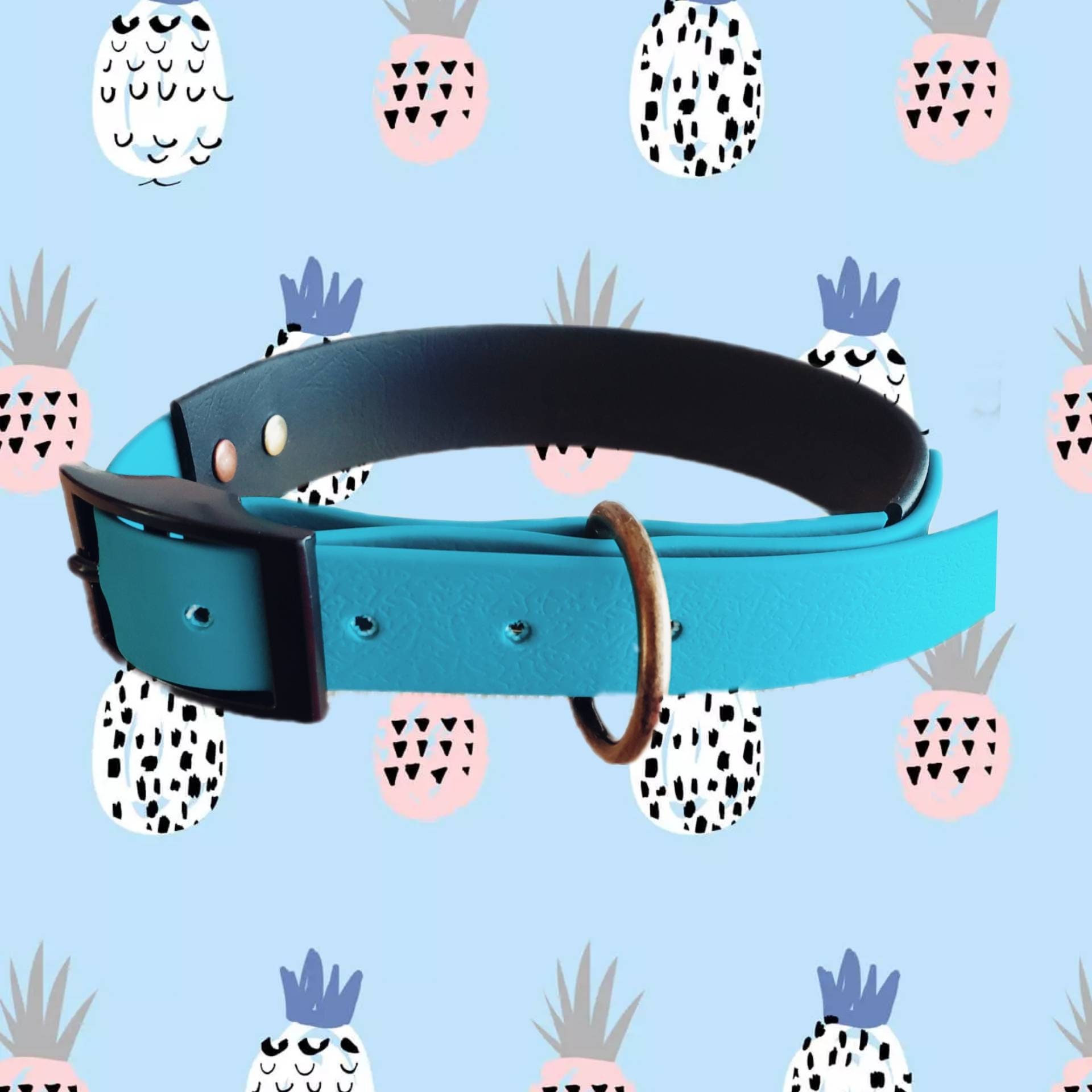 Collier Biothane Turquoise