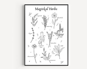 Herbs Print, Herbology,Magical Herb, Herbology Wall Art, Herbs Wall Art, Herbs Poster, Living Room Space Decor, Printable , Witchy Printable