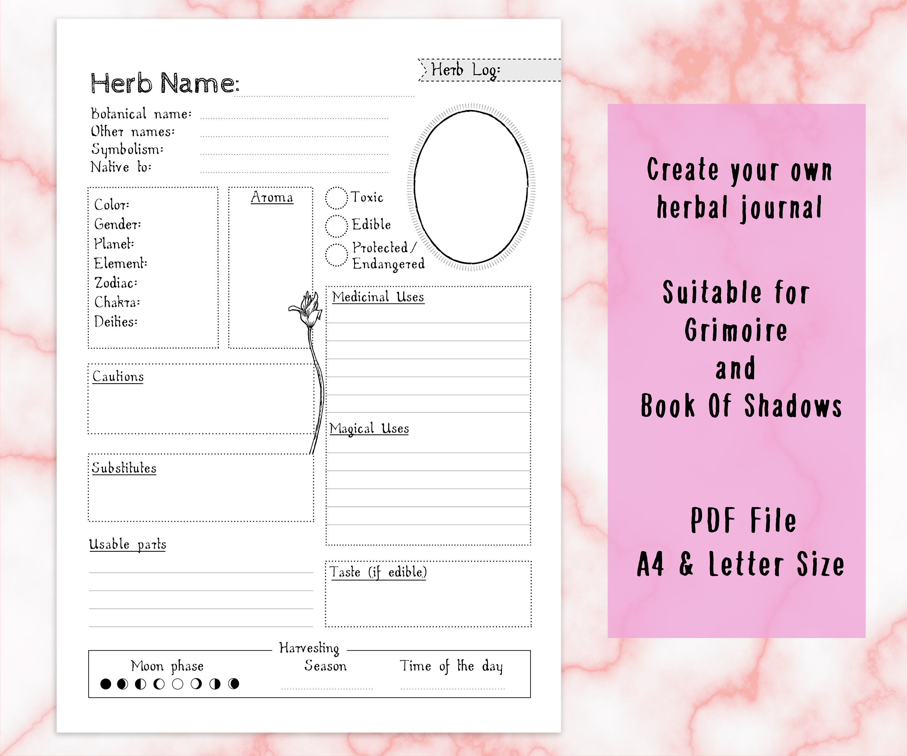 Herbs Journal Page Herb Template Printable Herbs Herbology Etsy UK