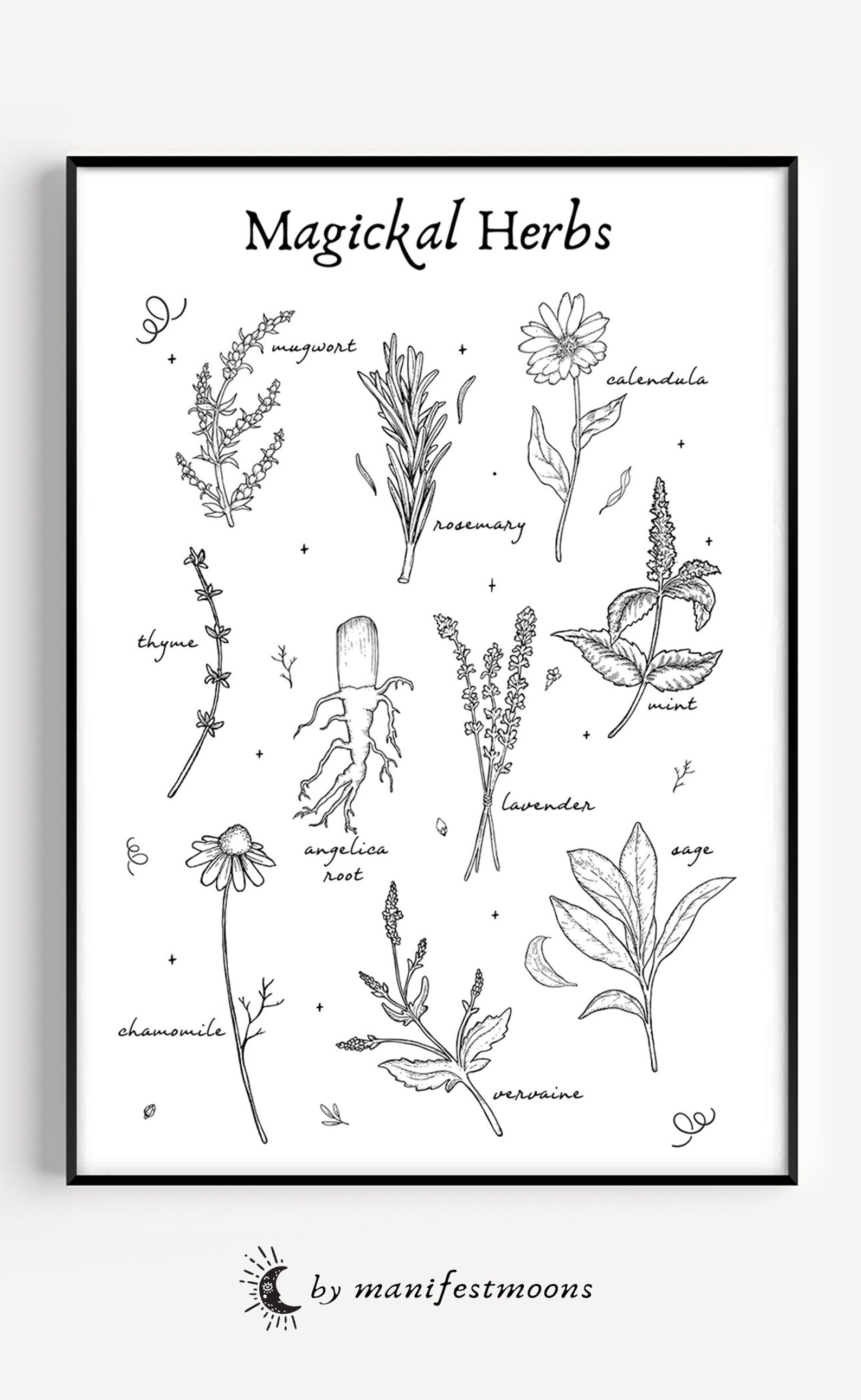 Herbs Print Herbologymagical Herb Herbology Wall Art Herbs Etsy