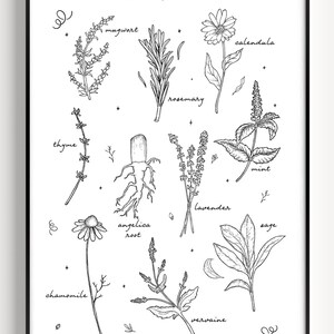 Herbs Print, Herbology,magical Herb, Herbology Wall Art, Herbs Wall Art ...