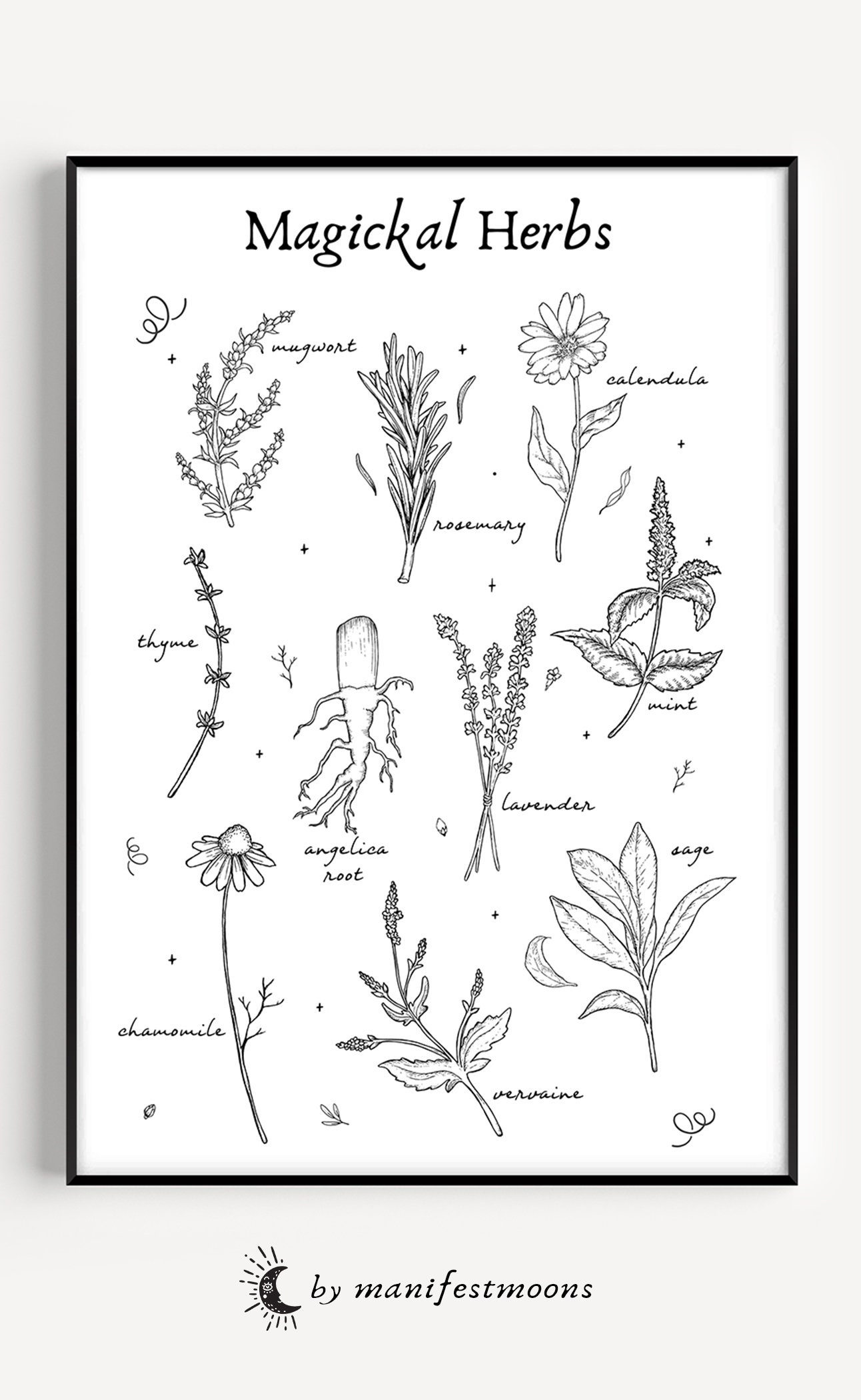 Herbs Print Herbologymagical Herb Herbology Wall Art Herbs - Etsy