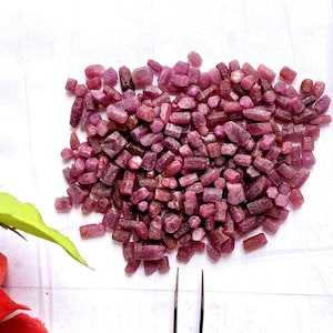 May include: A large collection of small, raw, unpolished ruby gemstones in various shades of deep pink and red. The stones are irregular in shape, featuring natural facets and textures. A pair of metal tweezers is positioned at the bottom.