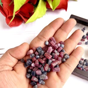 May include: A collection of small, raw, uncut gemstone fragments in shades of deep red, pink, and dark blue. These irregular, faceted-looking mineral pieces are loose and vary in size, displaying natural textures and opaque to translucent surfaces.