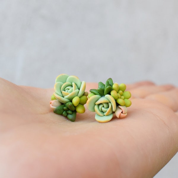 Succulent earrings Polymer earrings Clay earrings Botanical earrings  Succulent studs Succulent lover  Spring earrings St Patrick earrings