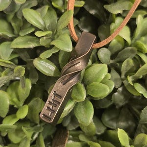 May include: A metal pendant necklace with a twisted design and a brown leather cord. The pendant has the word "LIGHT" engraved on it. The necklace is displayed against a backdrop of green foliage.