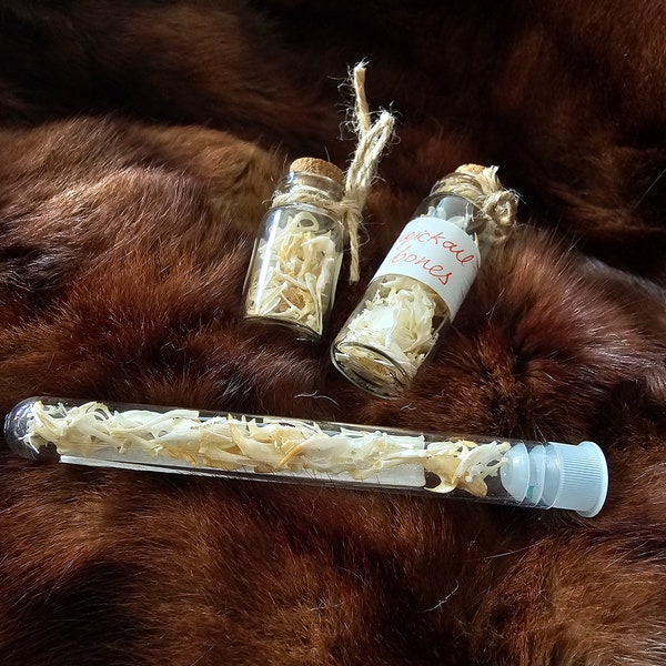 VOODOO: magickal jars with bone dust and small rodent bones, owl pellets, secret vials, goofer dust