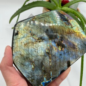 Spectrolite, Rare Labradorite, Polished Spectrolite, Labradorite Free Form, Madagascar Labradorite, Madagascar Spectrolite, Polished Stone