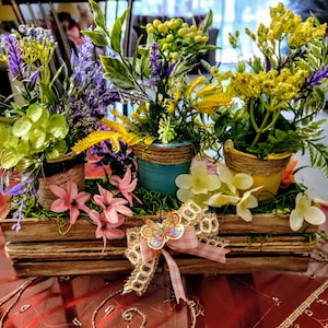 All seasons mini gardens on pails and clay pots