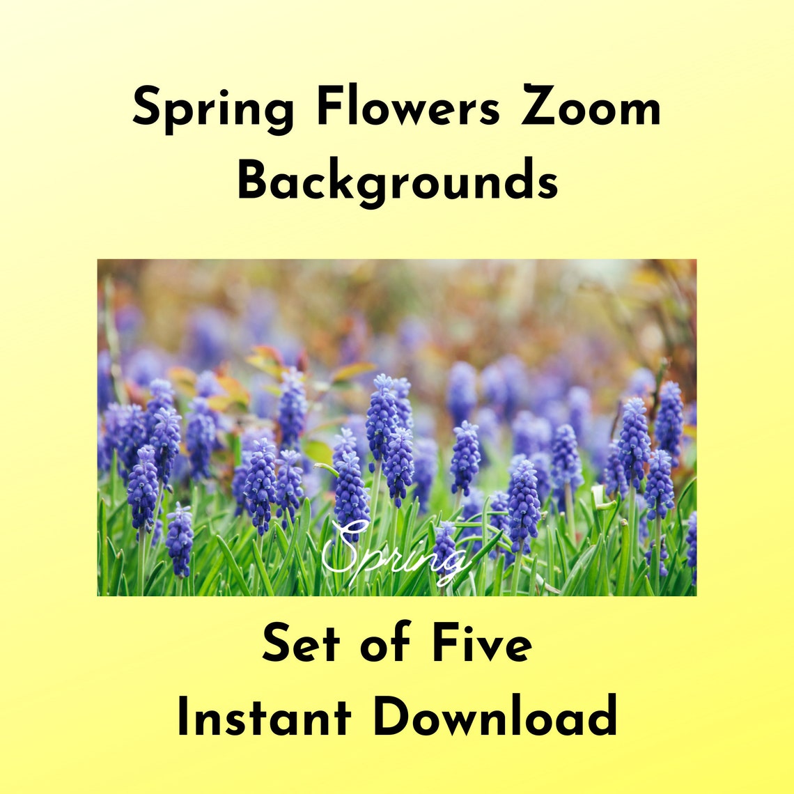 Zoom Background Spring Flowers