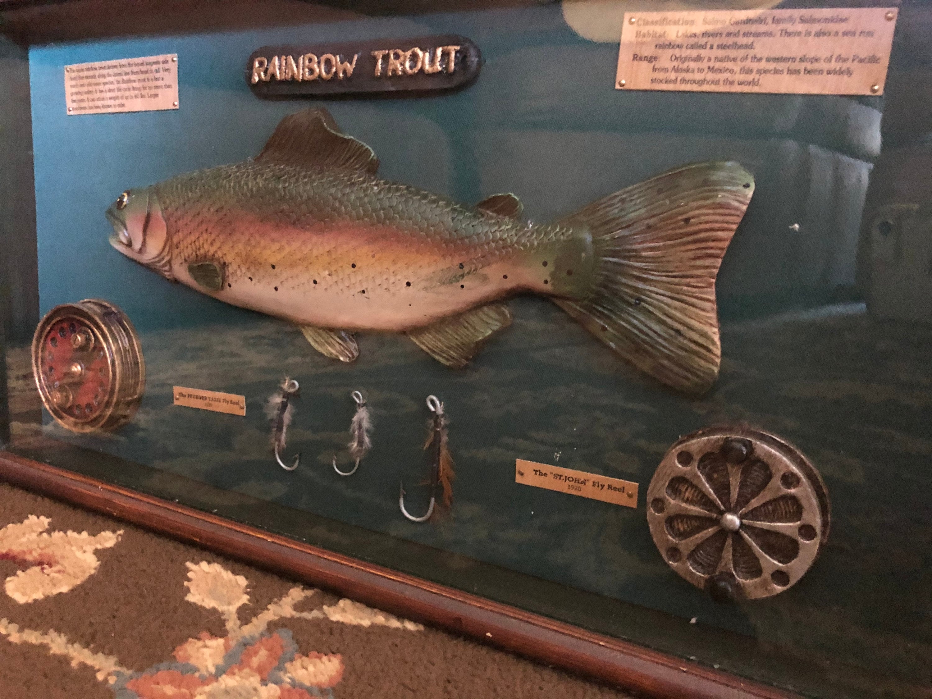 Vintage Rainbow Trout Fishing Gear Wooden Shadow Box Display 