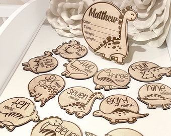 Dino Baby Name Sign, Wooden Birth Stats, Dinosaur Milestone Discs