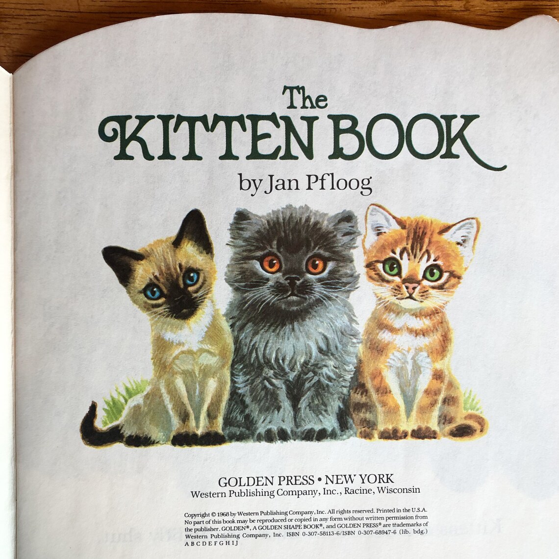 The Kitten Book A Golden Shape Book Etsy