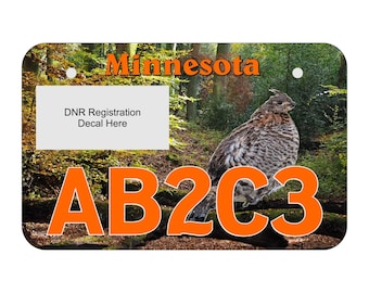 May include: A Minnesota hunting license plate with a brown and gray ruffed grouse on a forest background. The license plate number is AB2C3. The text "DNR Registration Decal Here" is on a white rectangle.