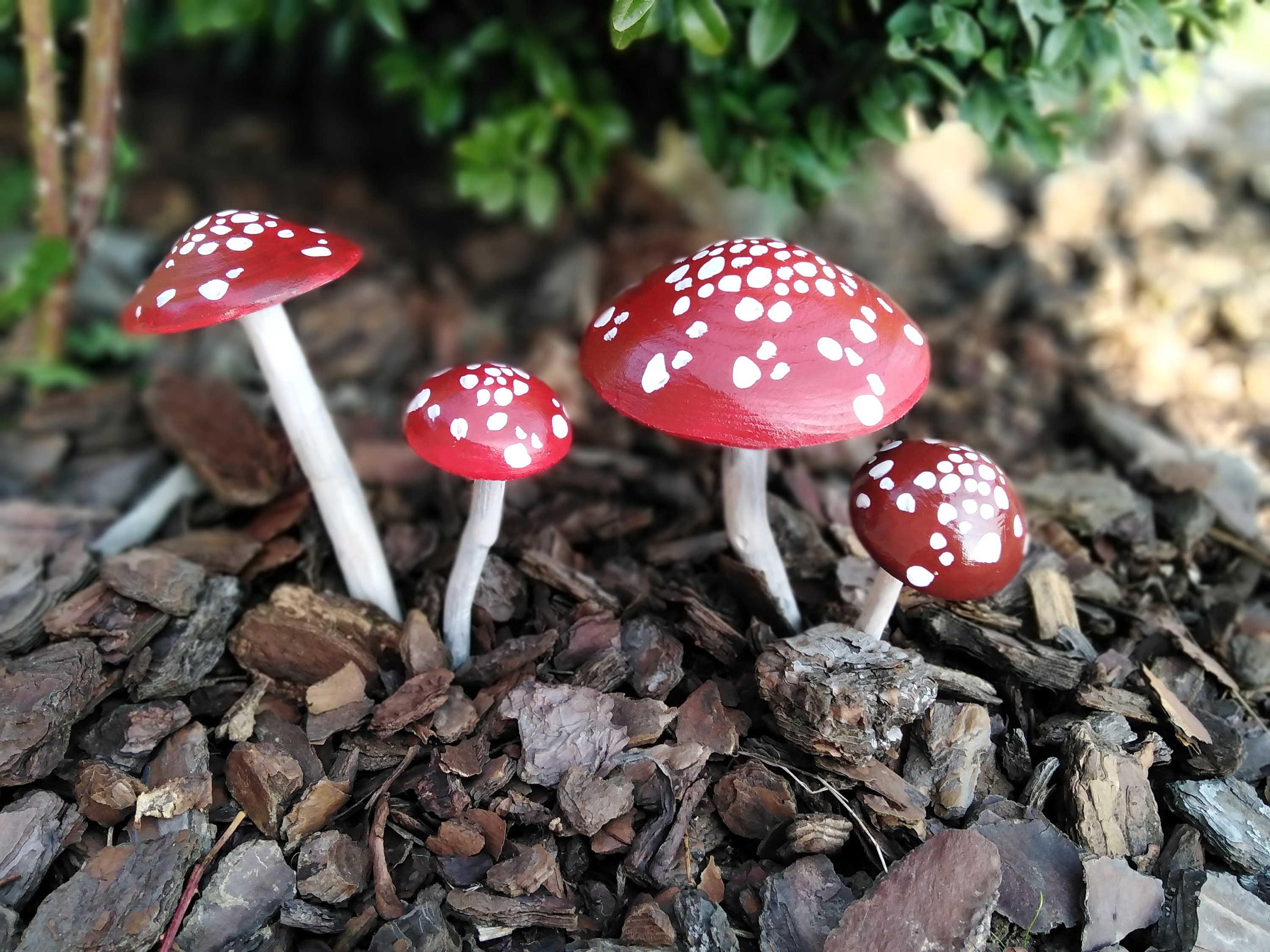 Décoration Extérieur, Décoration Intérieur, Champignons Bois, Champignon Rouge