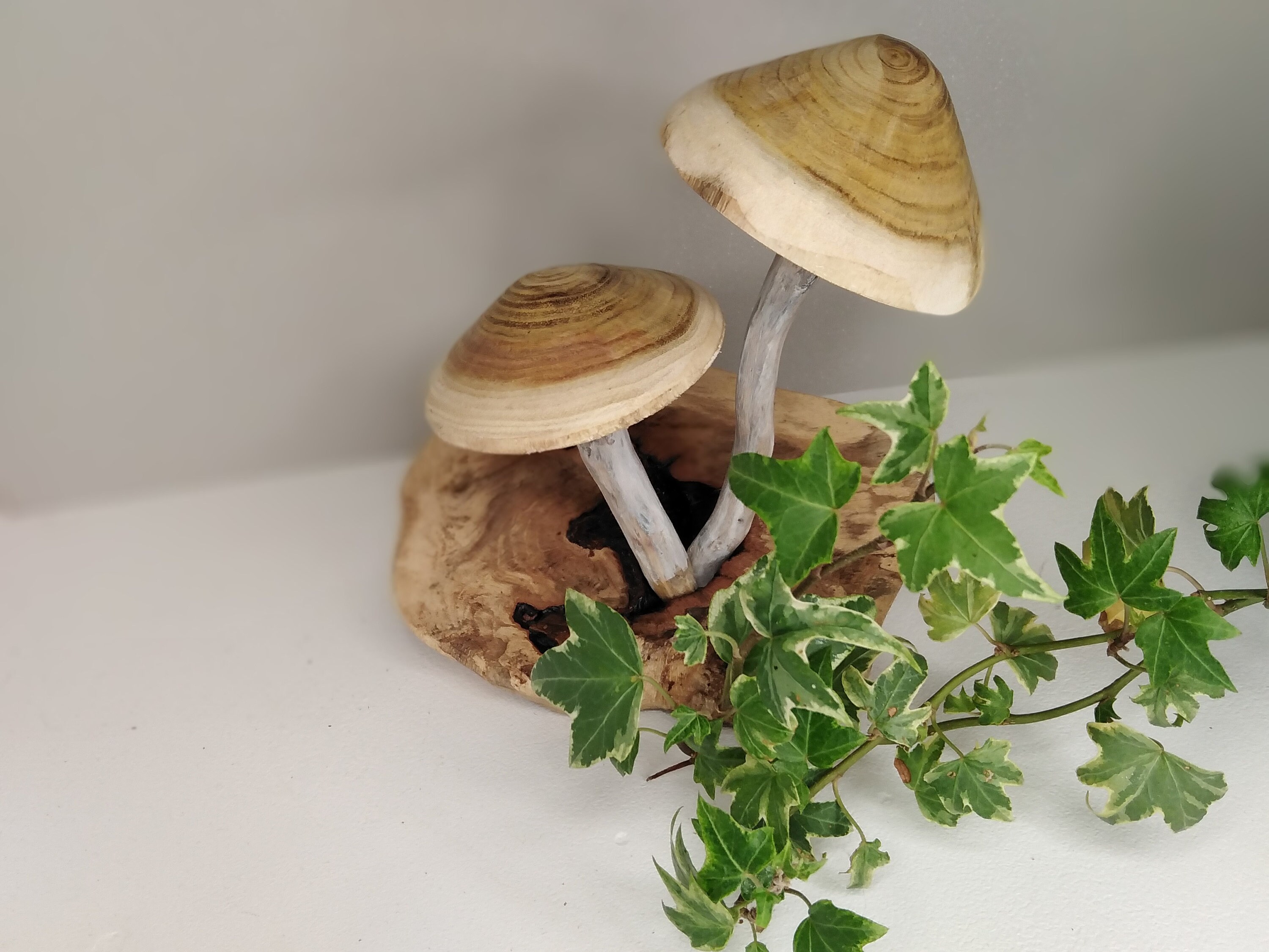 Champignons Décoration, Champignon Bois