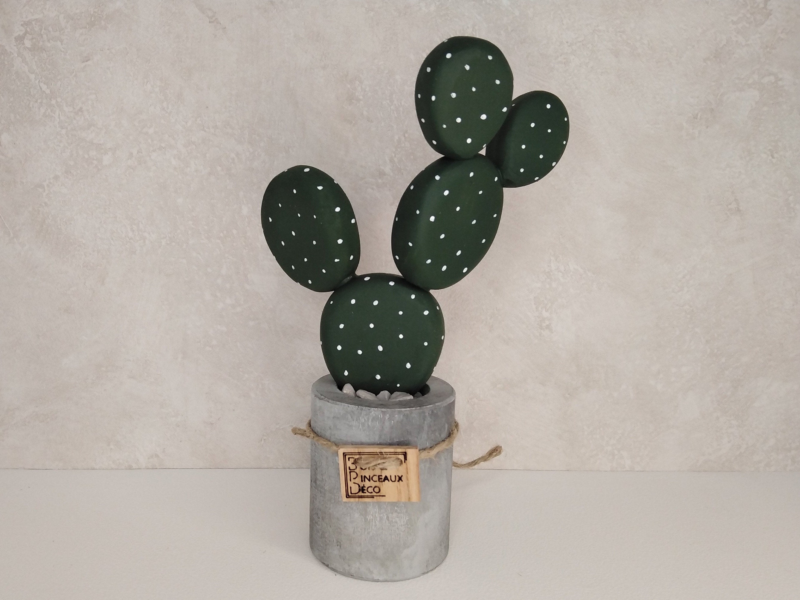 Cactus, Cactus Bois, Décoration