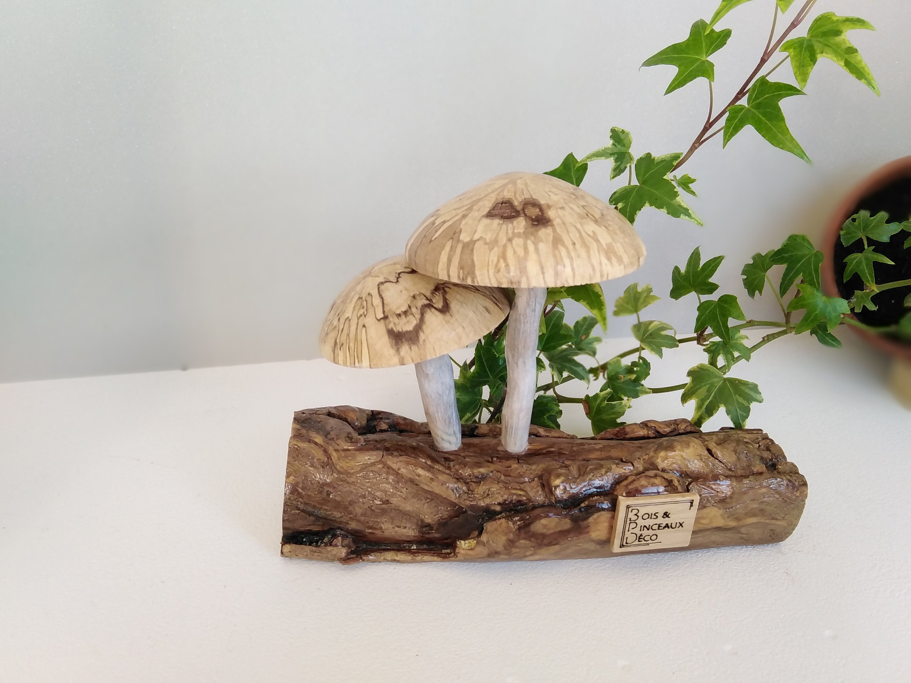 Sculpture champignons bois -  France