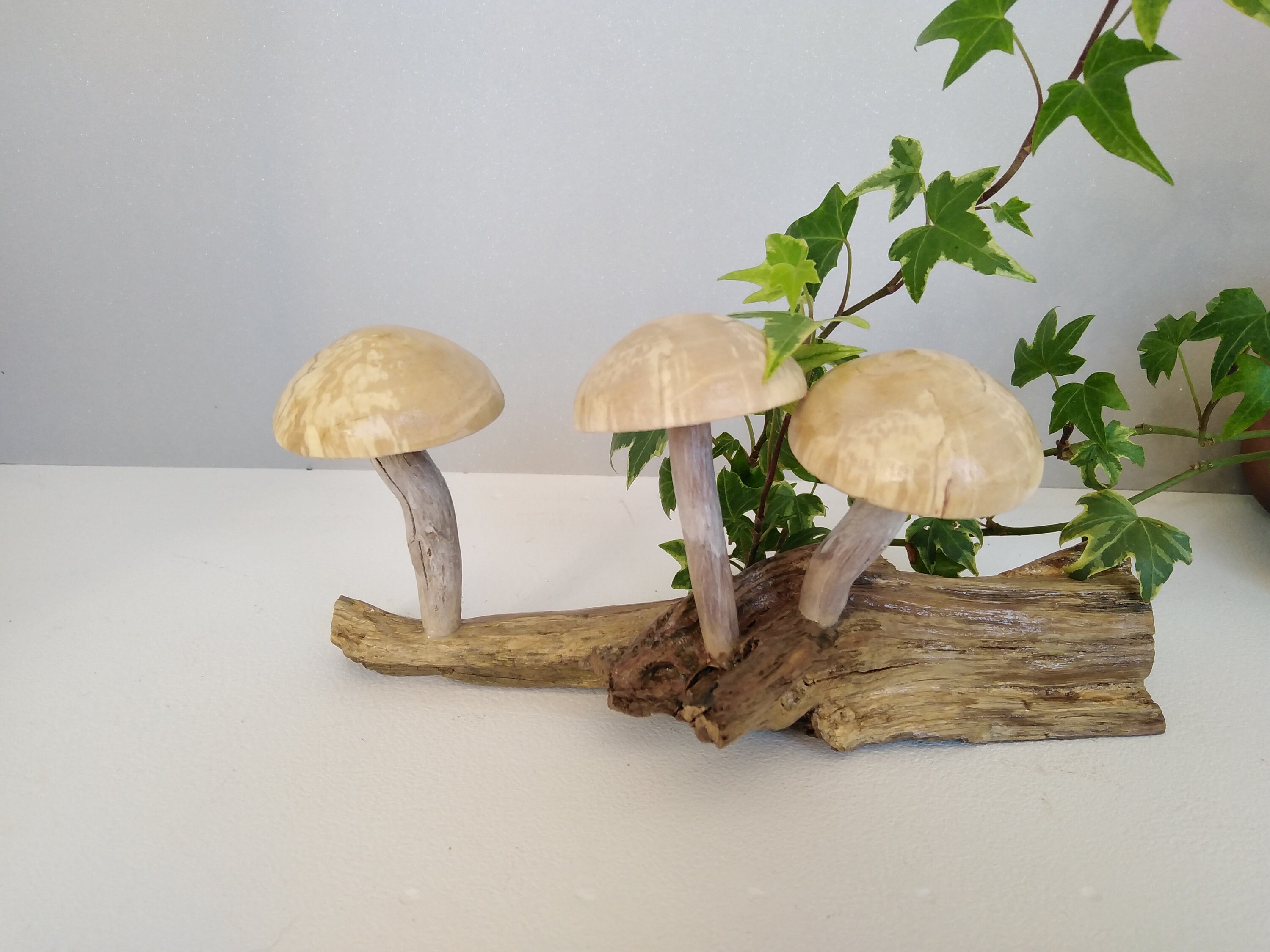Déco Bois, Champignons Décoration, Champignon Bois