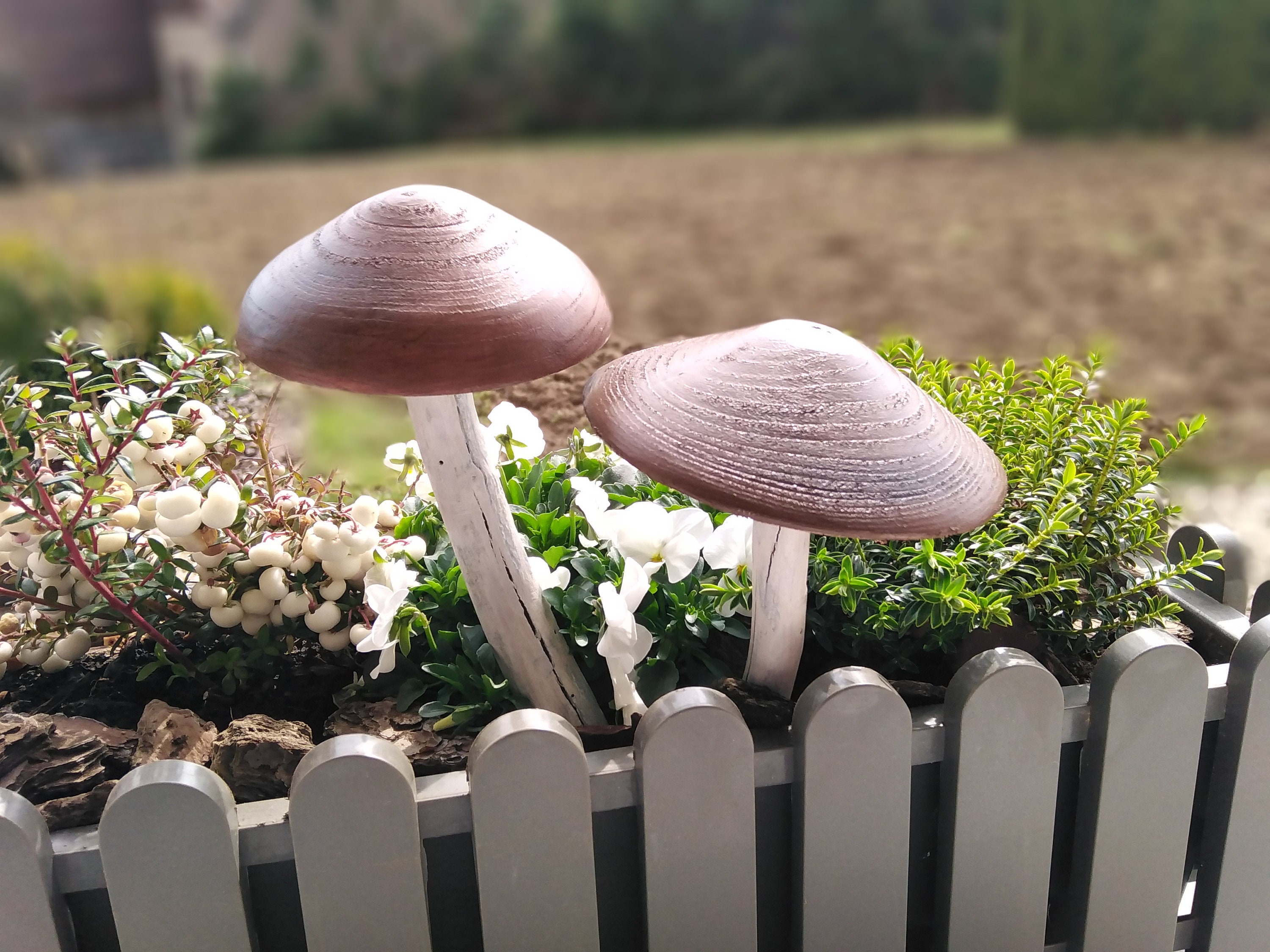 Décoration Extérieur, Décoration Intérieur, Champignons Bois