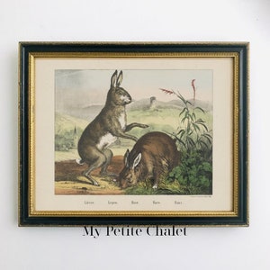 May include: A vintage framed print of two brown rabbits in a grassy field. The print is titled "Lievren, Lepro, Hase, Hare, Has."
