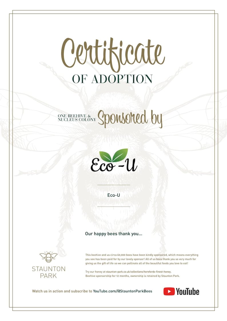 May include: A certificate of adoption for one beehive and a nucleus colony, sponsored by Eco-U. The certificate features a cartoon bee illustration and the text "Our happy bees thank you..."  This beehive and us circa 60,000 bees have been kindly sponsored, which means everything you see has been paid for by our lovely sponsor! All of us bees thank you so very much for giving us the gift of life so we can pollinate all of the beautiful foods you love to eat! Try our honey at staunton-park.co.uk/collections/herefords-finest-honey. Beehive sponsorship for 12 months, ownership is retained by Staunton Park. Watch us in action and subscribe to YouTube.com/@StauntonParkBees  ► YouTube