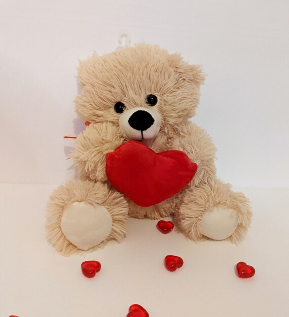 Customizable Teddy Bear With Heart 