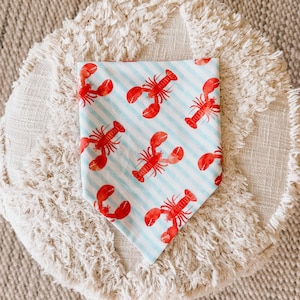 May include: A light blue and white striped pet bandana featuring a repeating pattern of red lobsters. The bandana is triangular in shape and made of fabric. The background is a neutral, textured surface.