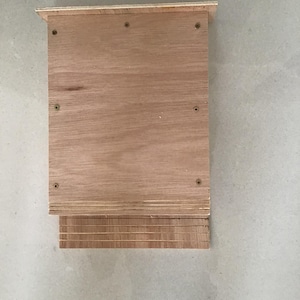 Fledermaus-Box