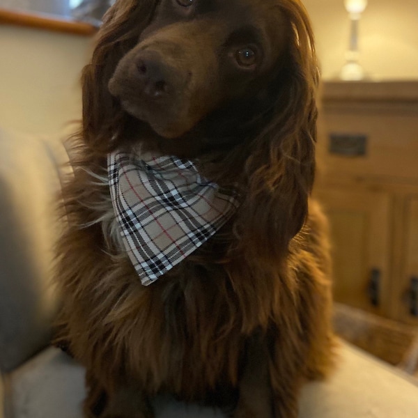 Personalised Classic beige Dog bandana cream tartan ,Slide on ,Posh dog ,Neckerchief