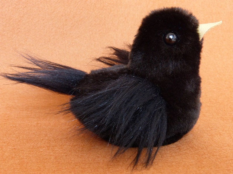 stuffed blackbird