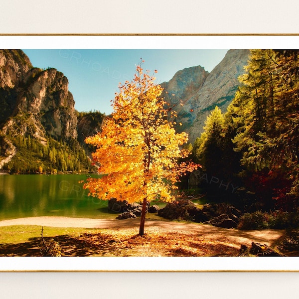 Fine Wall Art Etsy UK