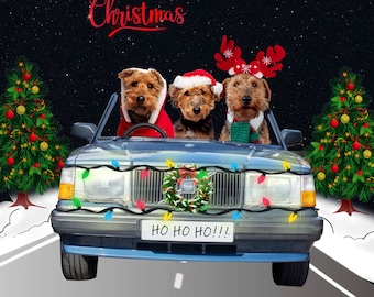 Welsh Terrier Christmas Card - Single card or 5 Pack. Approx 6 x 6 inch square, comes with white envelope in a cello bag