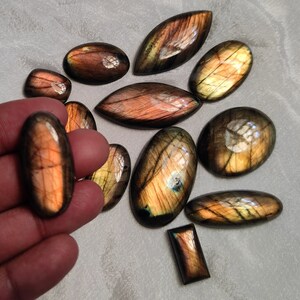May include: A collection of 11 labradorite gemstone cabochons in various shapes and sizes. The stones are a mix of brown, gold, and green with iridescent flashes.