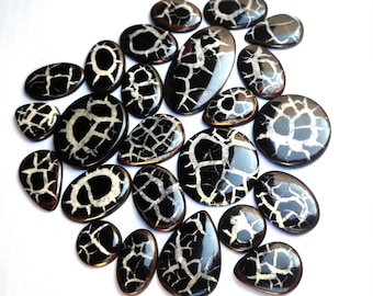 May include: A collection of 18 black and white fossilized stone cabochons with a unique, intricate pattern. The stones are oval and teardrop shaped, and they have a smooth, polished finish.