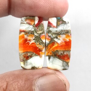 Turquoise Oyster Gemstone Pair, Oyster Turquoise Gemstone Cabochon Pair, Loose Oyster Copper Turquoise Cabochon Stone for Earrings Jewelry
