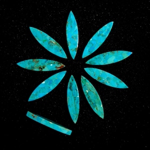 Può includere: Una collezione di dieci cabochon in turchese, ciascuno a forma di lacrima, disposti a forma di stella su uno sfondo nero.
