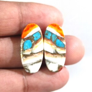 Turquoise Oyster Gemstone Pair, Oyster Turquoise Gemstone Cabochon Pair, Loose Oyster Copper Turquoise Cabochon Stone for Earrings Jewelry