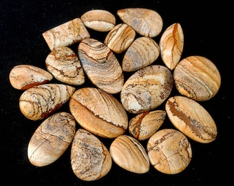 May include: A collection of 15 brown and white patterned agate cabochons, some with a teardrop shape and others with an oval shape.
