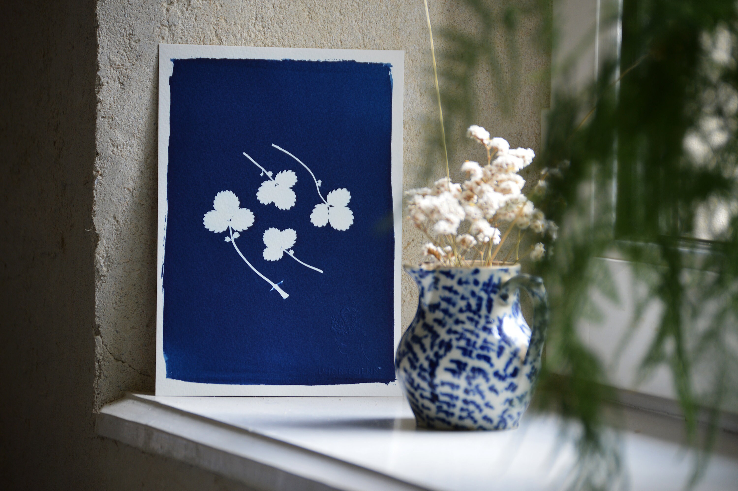 Cyanotype de Potentille Faux Fraisier - Affiche A5 Impression Cyanotype Botanique Pièce Unique