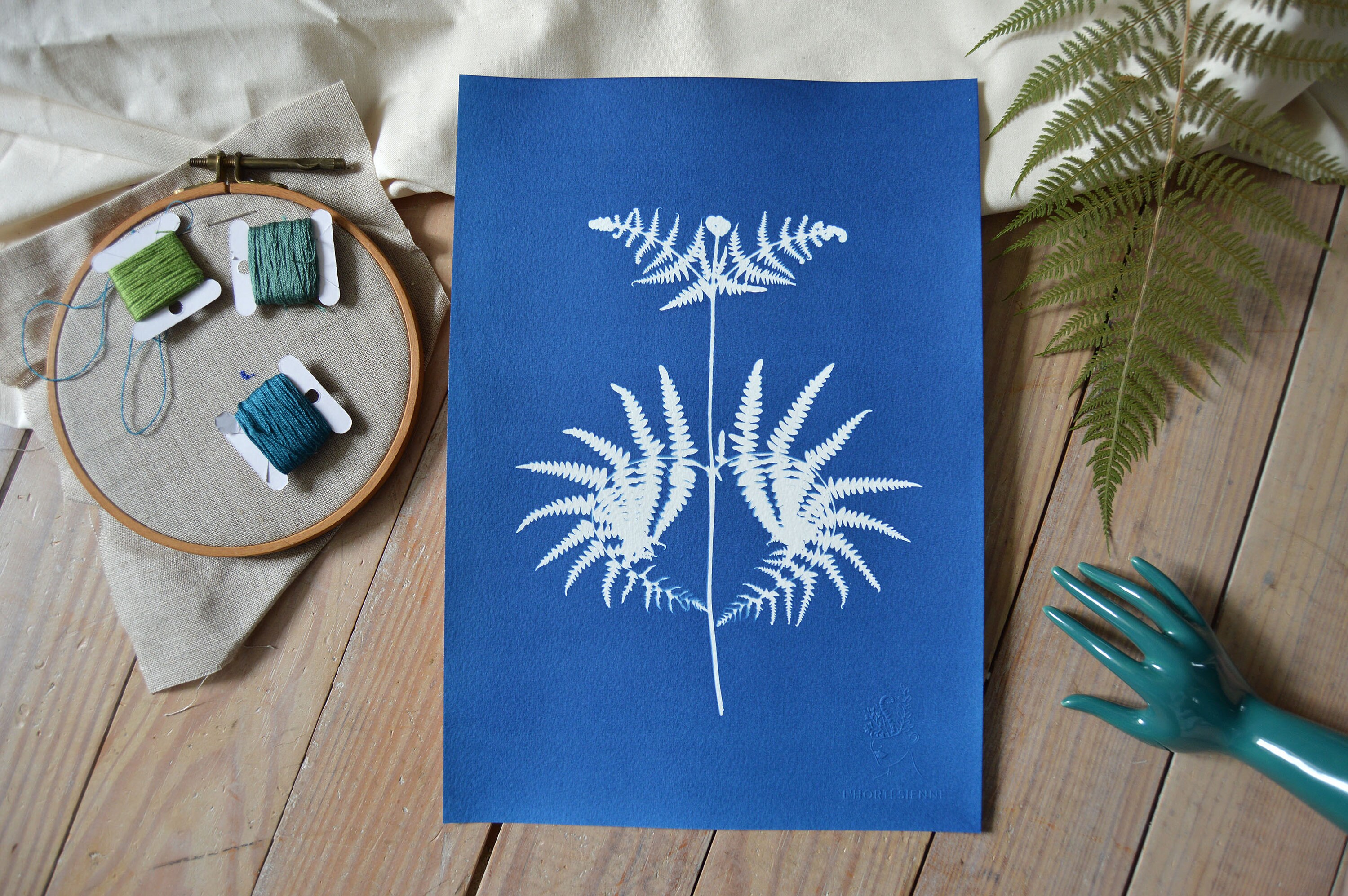 Cyanotype Ex-Voto Fougère - Affiche A4 Impression Cyanotype Botanique Pièce Unique