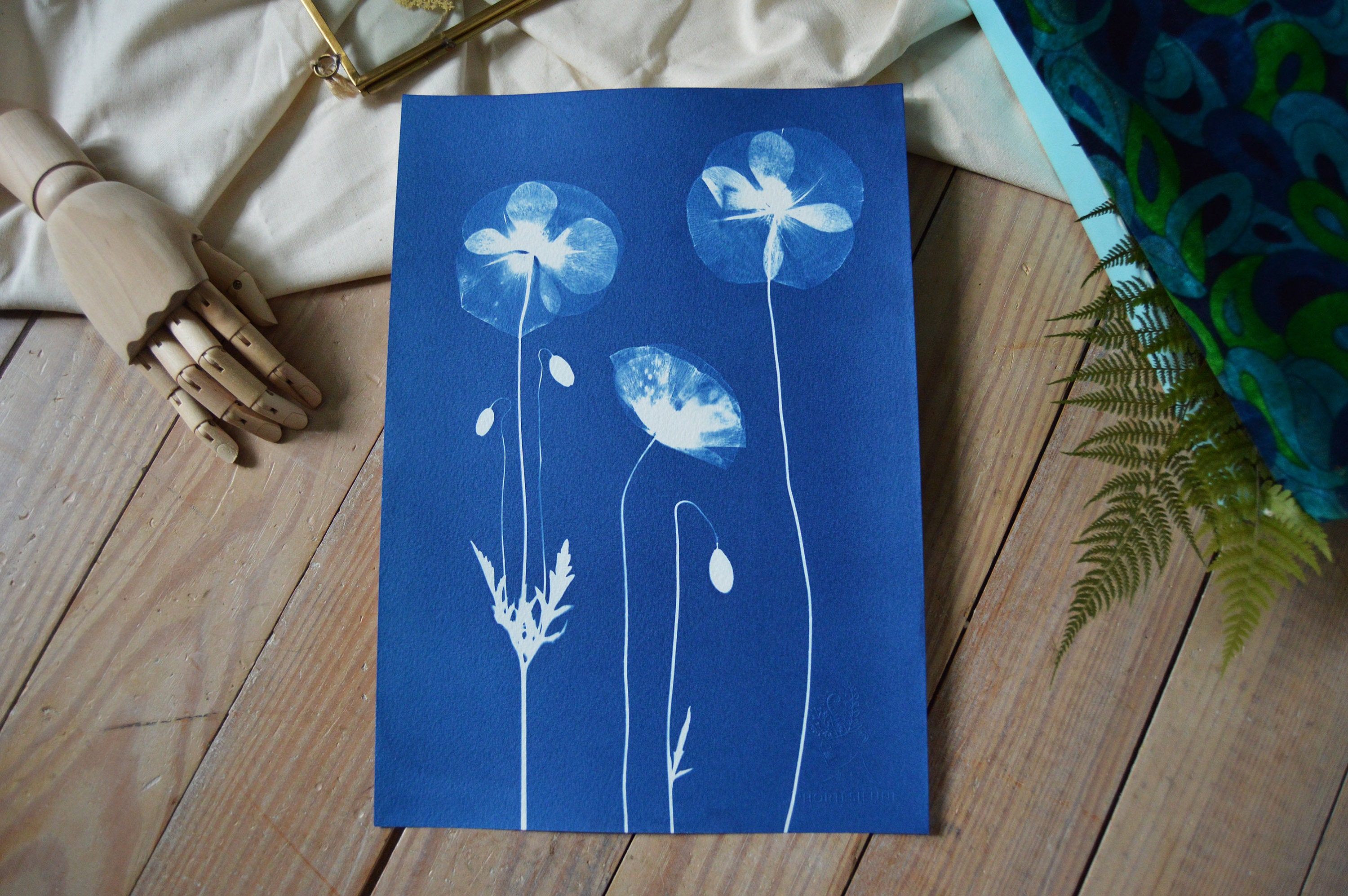 Cyanotype Trio de Coquelicots - Affiche A4 Impression Cyanotype Botanique Pièce Unique