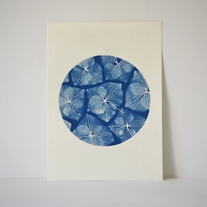 Cyanotype Lace d'Hortensia - Poster A5 - Cyanotype printing - Botanical poster - Unique piece