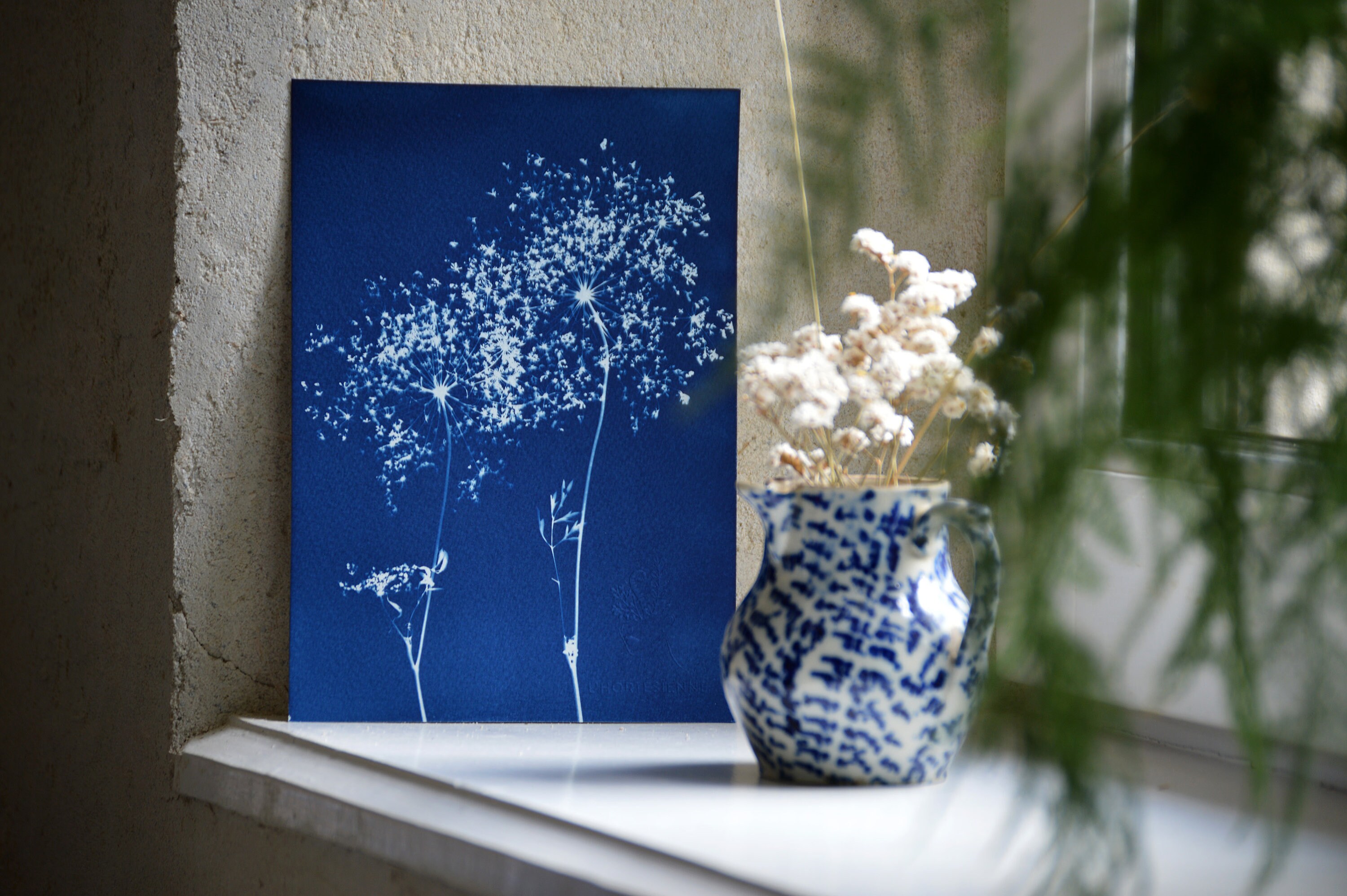 Cyanotype Duo de Fleurs Carotte Sauvage - Affiche A5 Impression Cyanotype Botanique Pièce Unique