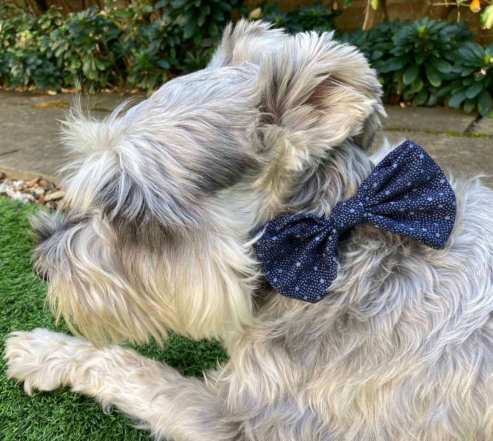 Bow ties handmade to fit your dogs collar small medium Etsy