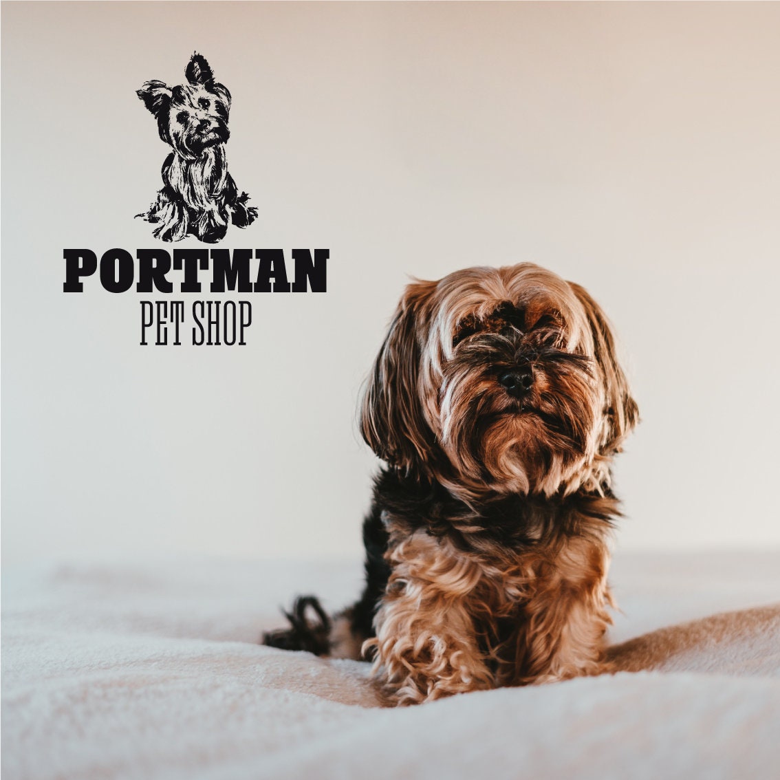 Dog logo. Custom logo. Modern logotype. Brand. Premade logo. | Etsy